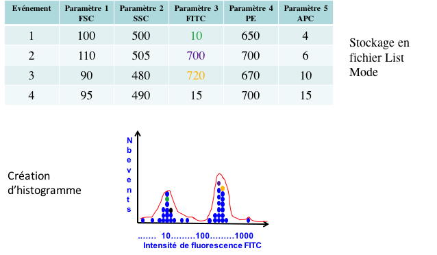 Construction d'un histogramme